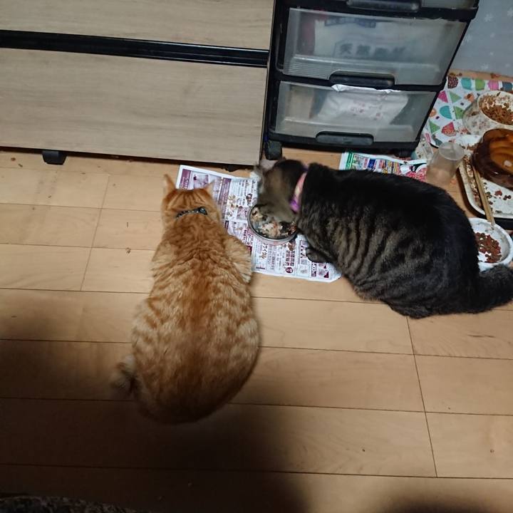 Ac43c111 e9d6 49a4 b28c af2ee1f91a0d 1650056007848