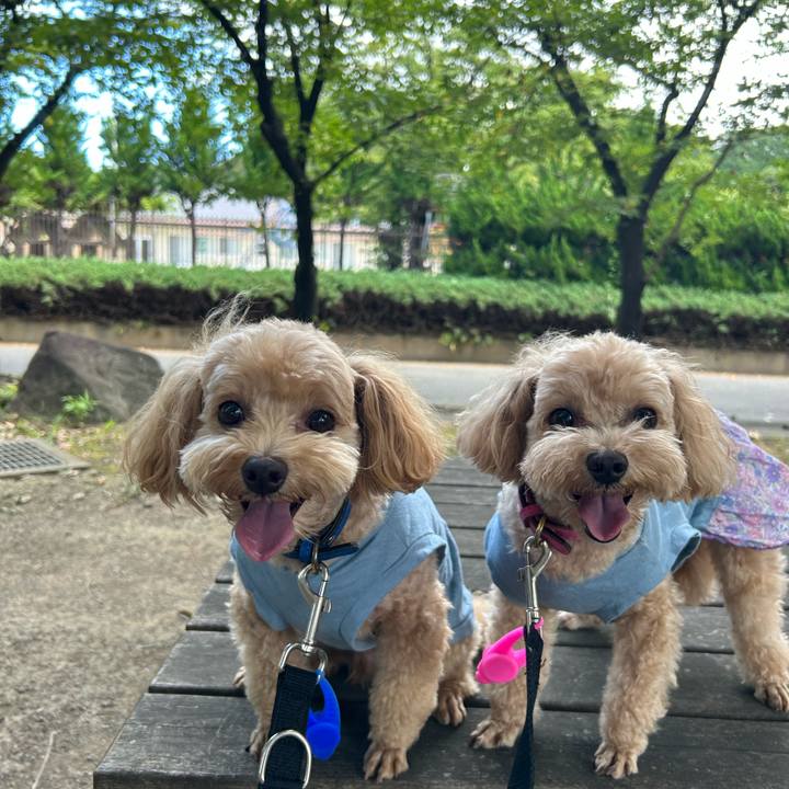 Ac43df3f 3bcc 42b1 bb53 b354e8761d96 1691727188060