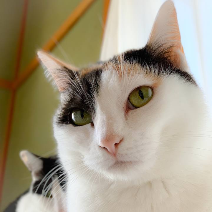 Ac43e4d7 0021 4b74 a7a1 b6c936252185 1556588288852