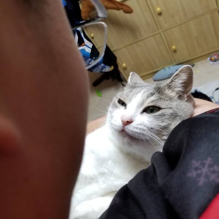 Ac43fe13 5311 44a4 95d4 d3c3212fd11e 1630389124373