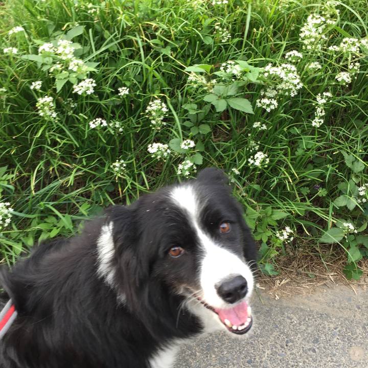 Ac4429f7 6c85 4d6d ab68 55e59d3a8aad 1569454839598