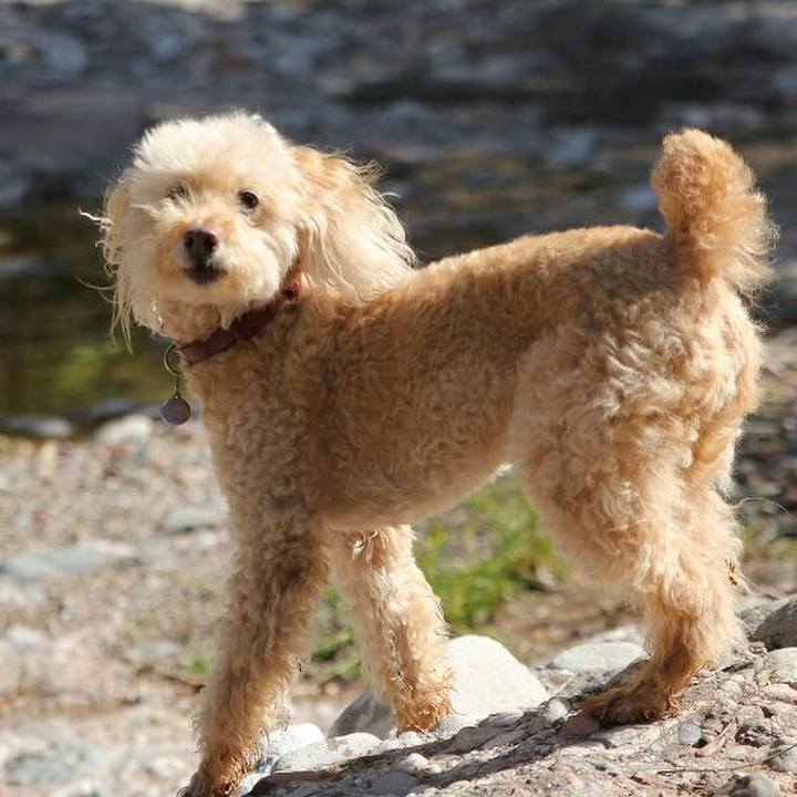 Ac443f67 07b7 4f13 acf8 8870011f1571 1592159177283