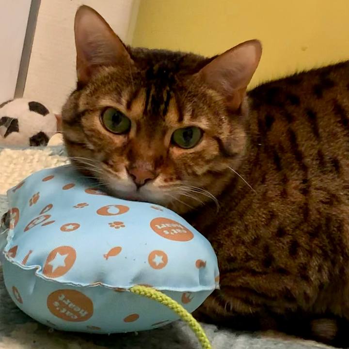 Ac4454d5 efbd 4514 9c23 09163bb8d167 1551094230228