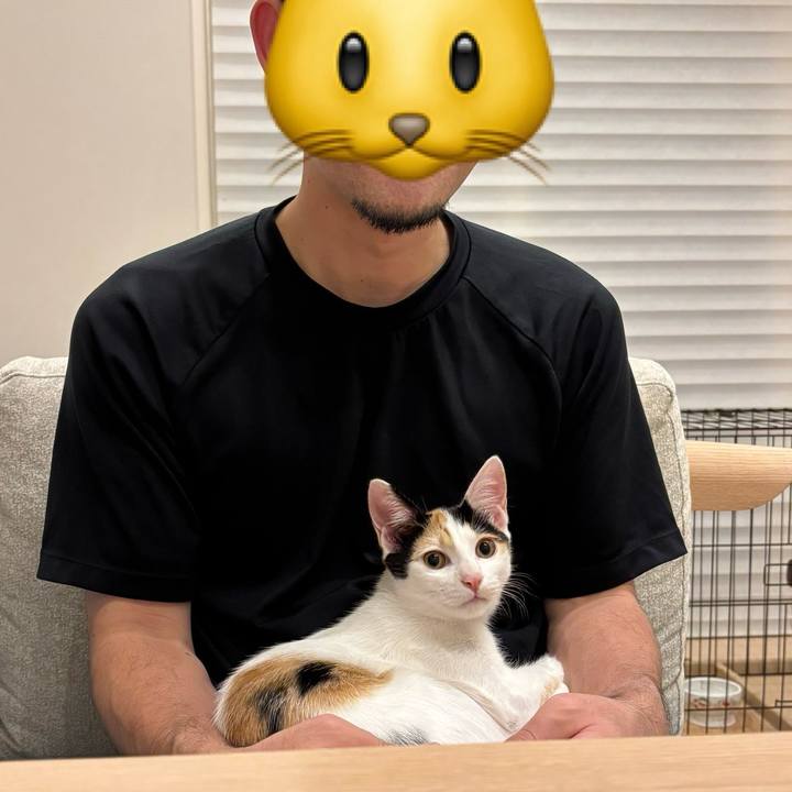 Ac4480a0 ccd4 4392 8e78 8459ab6fde5e 1758813267391