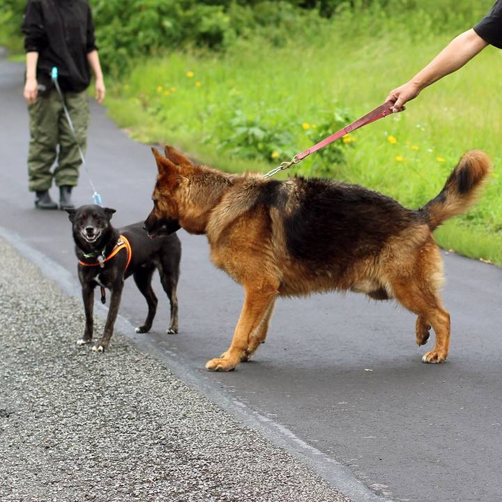 Ac4487b0 7fb8 48d9 ab14 73ffb0cfd24b 1597620190900