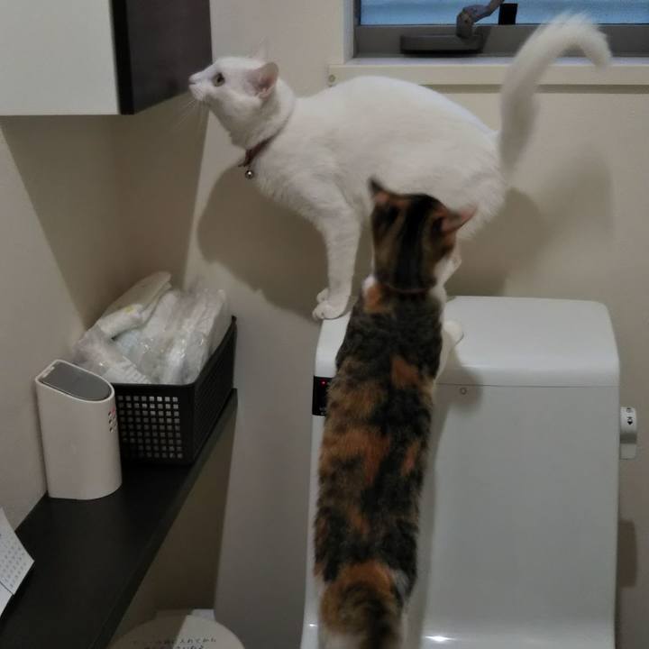 Ac44f31b c22a 4c27 b097 95a60679b2e1 1636678267184