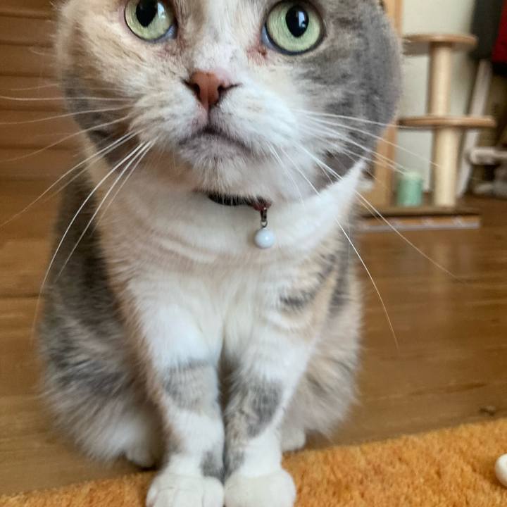 Ac453b2f 8581 46a8 b07a b57a1ededc97 1686703706669