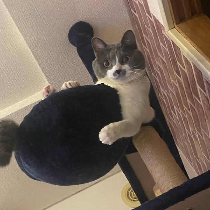 Ac454e76 310b 47d0 9073 da1ac6976adb 1706881303650