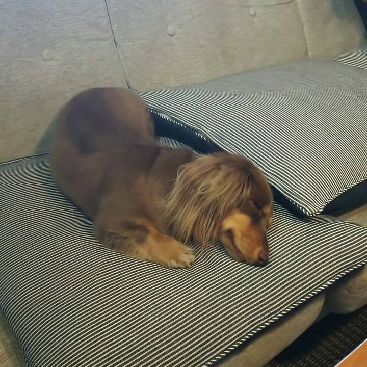 Ac4557ee 6a11 431d b201 5d7a2607e1e4 1534663188218