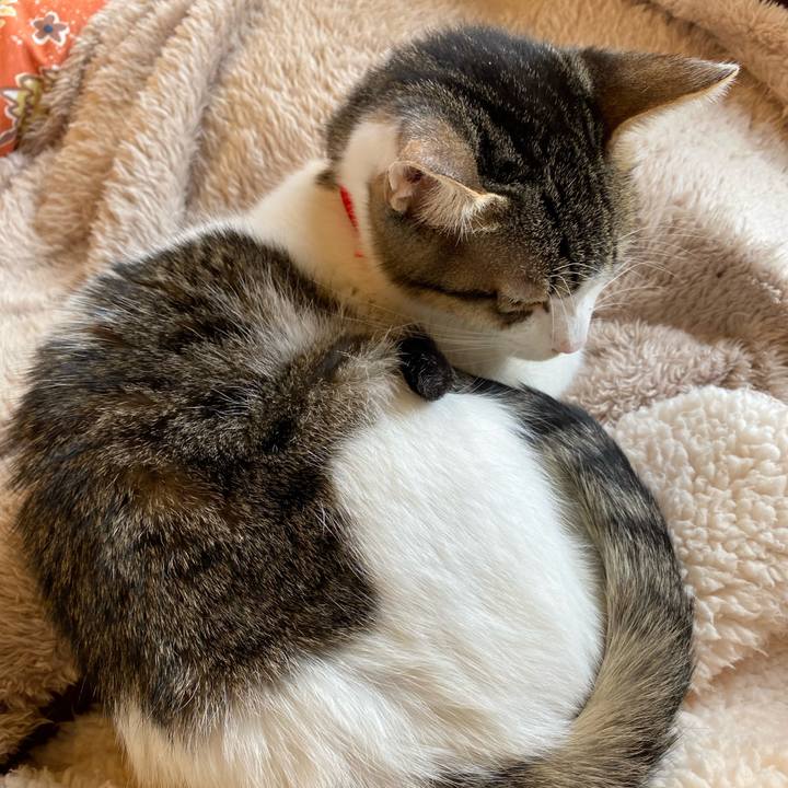 Ac459417 1fe9 4509 97e8 028d1265e909 1704855436600