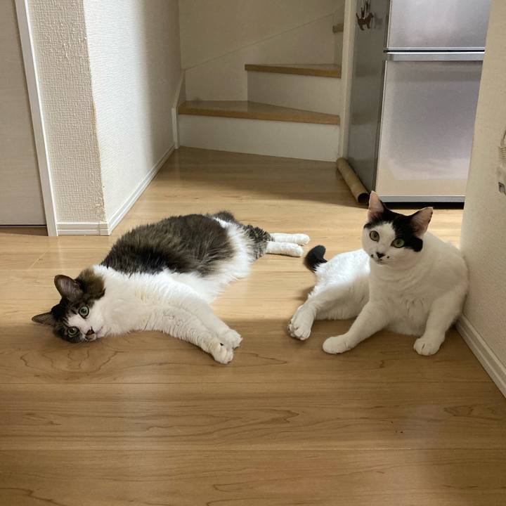 Ac45cef4 4c3c 4648 9f7a 84e72769fc53 1757448898434