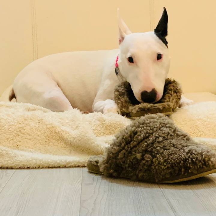 Ac45eb57 3f4d 44e8 aa6c 32e600a5c70c 1557195256805