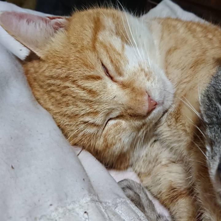 Ac45fc1b 2774 47d2 a47f ff4db4aac366 1581607082572