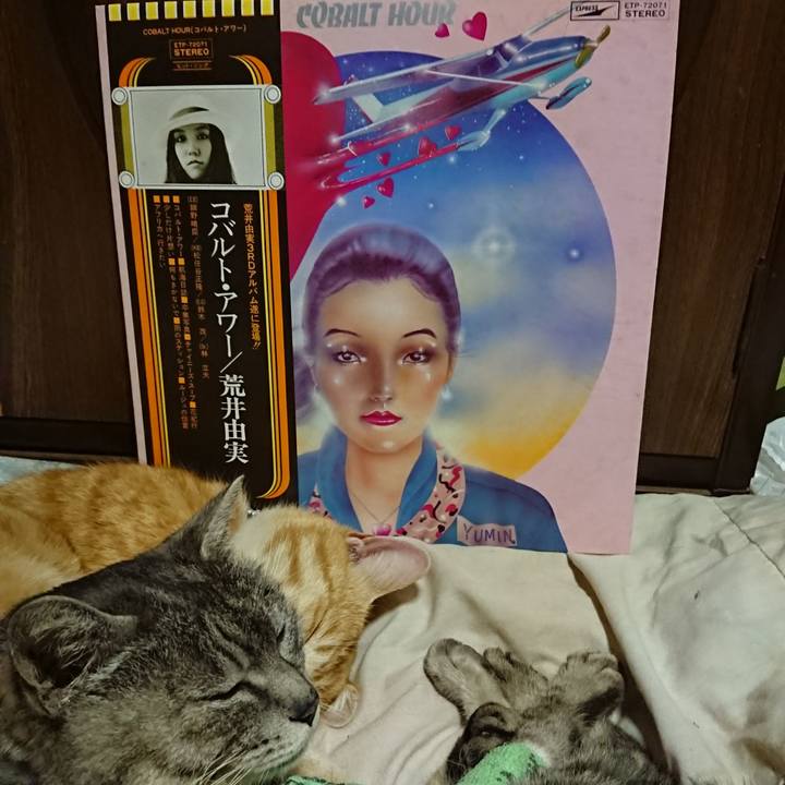 Ac462edc e4a2 46e2 9b26 7bb5abfc0f8c 1587211428865