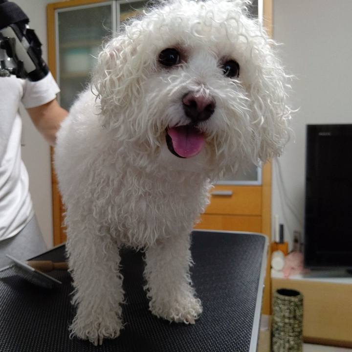 Ac4630a2 b135 4438 a974 4587c1dcf8c3 1653965107819