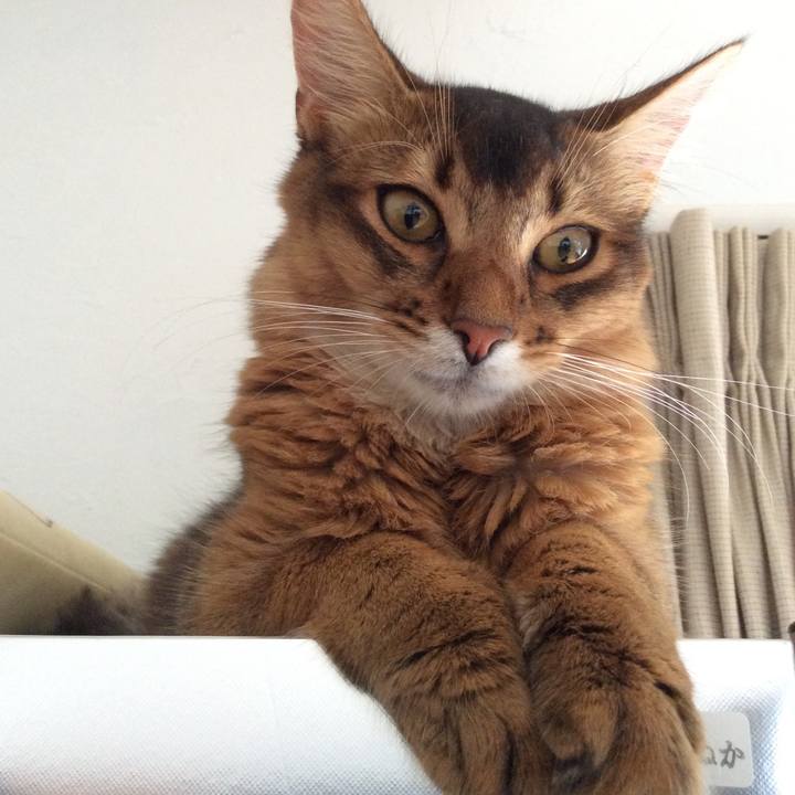 Ac469eef 23a1 4ad2 a56a c9b9b5b76d7a 1567468115885