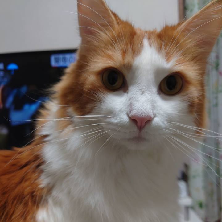 Ac46abbf 34c5 4787 80ba e3646bd3a4b7 1602116315988