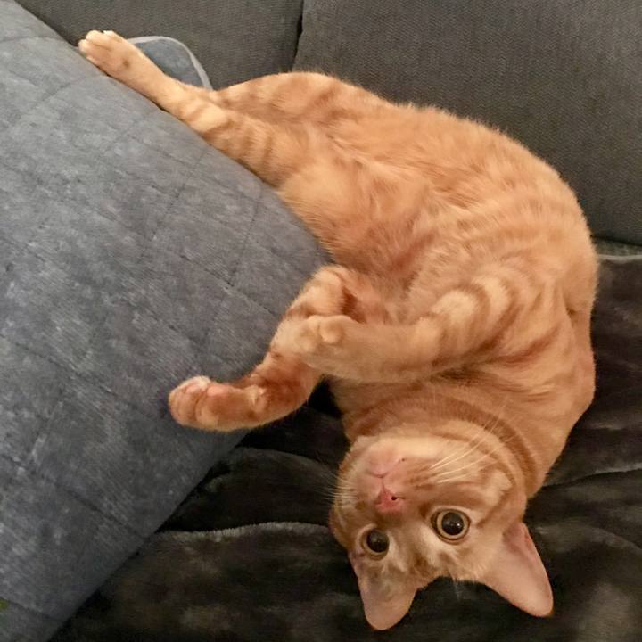 Ac46d64c a3d2 4c53 b24e 0a255abacdec 1611495851585