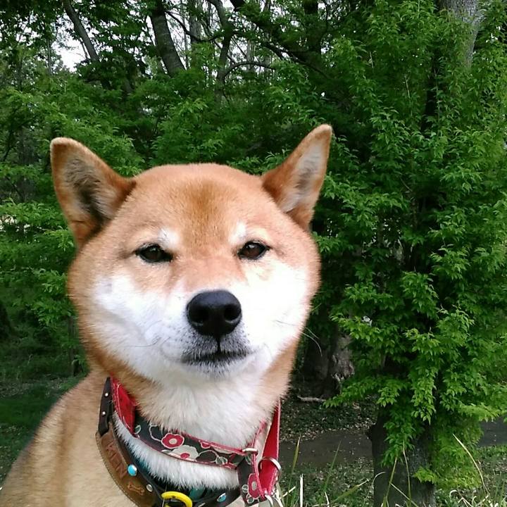 Ac46f400 70c8 4256 b39c c1c5a639c4a7 1555665284048