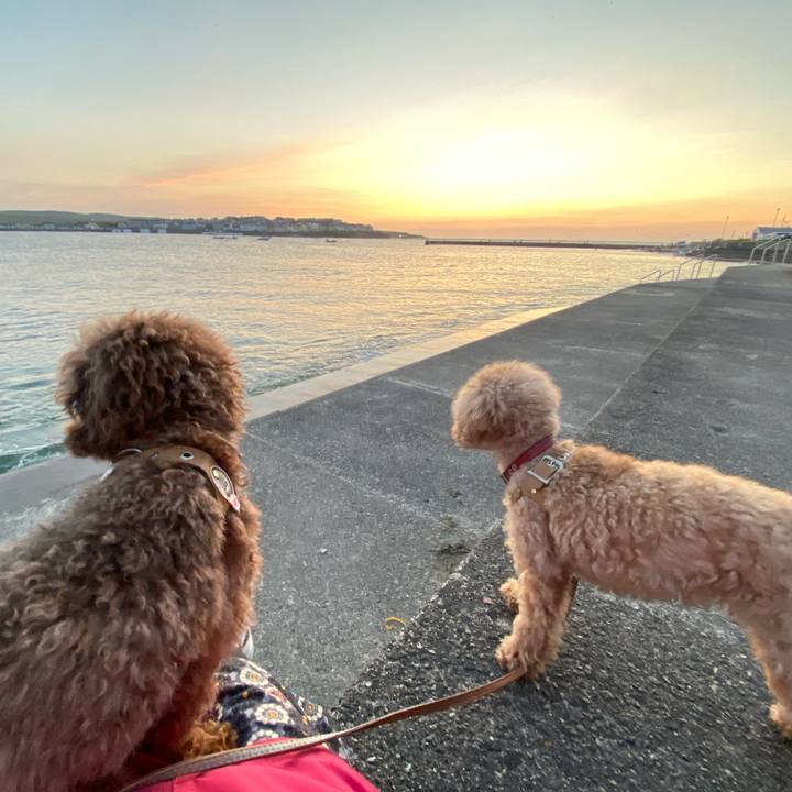 Ac474f6b 9d3d 42f9 81ad 6217c1d2482e 1600541678782