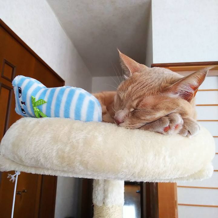 Ac4757a1 19bc 4db4 8e05 b9b2d88cd09d 1608960729238