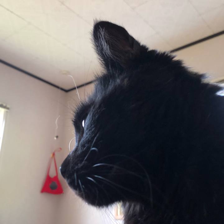 Ac47664a dea2 4909 aac3 7b513779261f 1595148472978