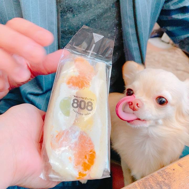 Ac4766bd 2e60 43df acb7 f843b8aaa336 1635053934051