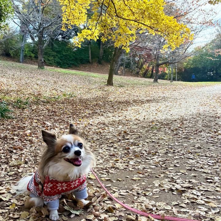 Ac4786d7 2a0a 4ae5 ad21 09f0851f6c66 1763962114639