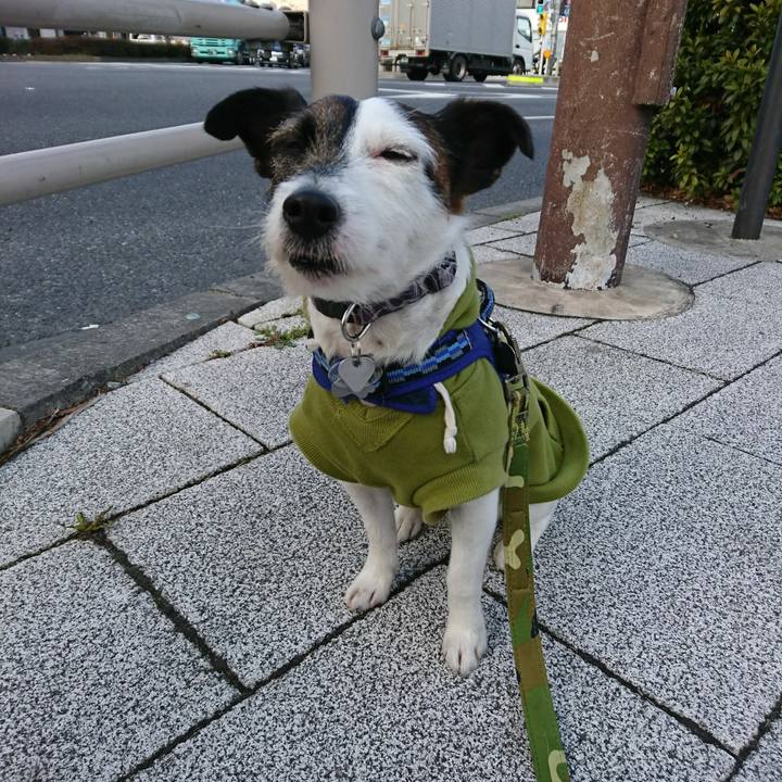 Ac47d541 47db 4eca bf06 949397e698bd 1519687428258