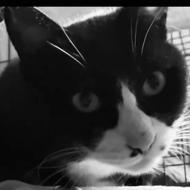 Ac47f424 9f6e 417b bcb5 d2bf4406e0ea 1738749394607