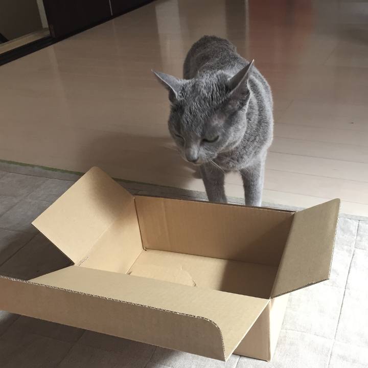 Ac4839ed 66aa 4f31 bfef db7f548f27bf 1558479474997