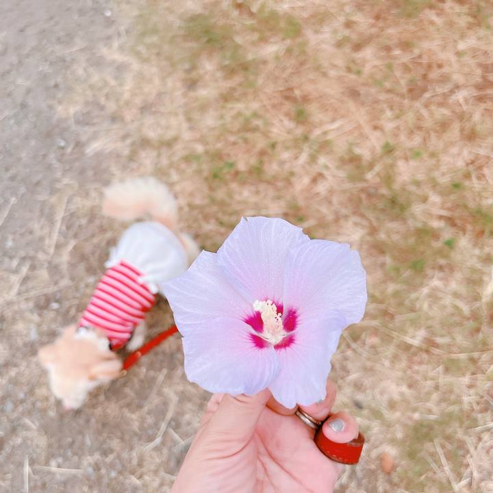 Ac48bb56 7124 4011 9861 7eb18c94001a 1656903949989