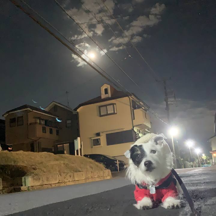 Ac48f13a 1f90 47db bfc3 0597fd7e4d34 1734528752528