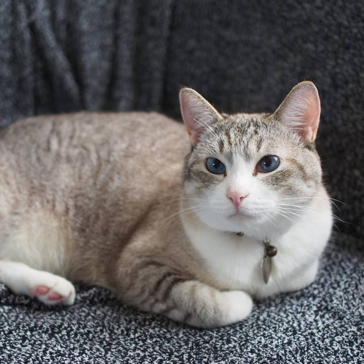 Ac48fbec 1d2b 459e bb1a 1665cf2bd6ff 1595063331341