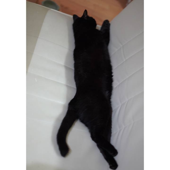 Ac48fd7e 599c 4ef6 9cd0 df8c8cbe0484 1625924960192