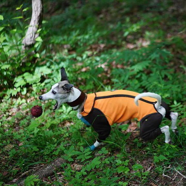 Ac4910db ea33 43b1 8c5b 9021e64578f7 1532686411445