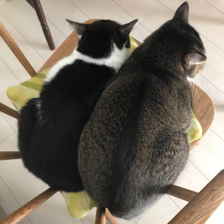 Ac49126a 94e5 4028 bc39 59d3fef8cb54 1606527355523