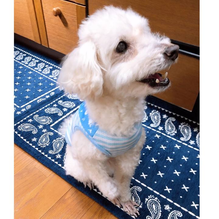 Ac491ec9 9e1b 4cc0 8f82 6301f48c52f4 1557788270147