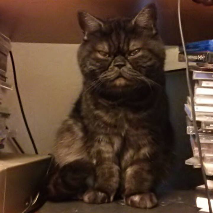 Ac4922d5 8715 41f3 b043 b04b22a3dc4c 1563070574299