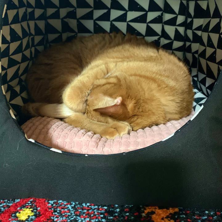 Ac493f28 d377 4e28 a3b0 e2ee89f964c2 1590136301824