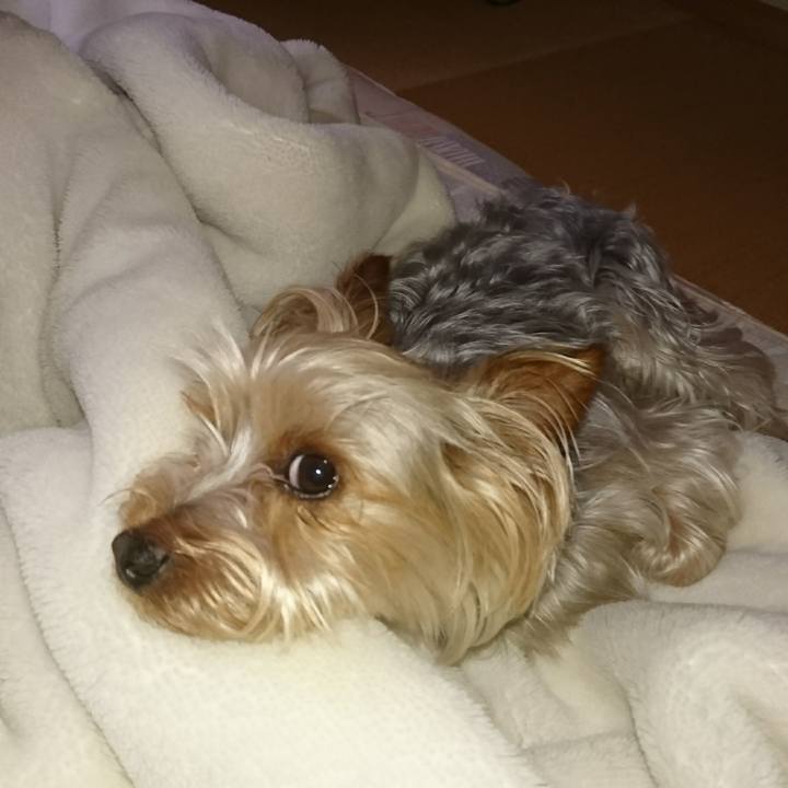 Ac4944c0 4ad8 47ae a3e2 0b1f0d6c139f 1526598116749