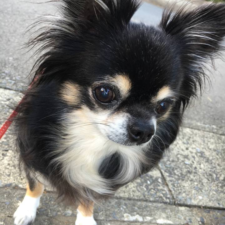 Ac494f57 2b5c 454a b2ed 70fc47c554cb 1509088432609