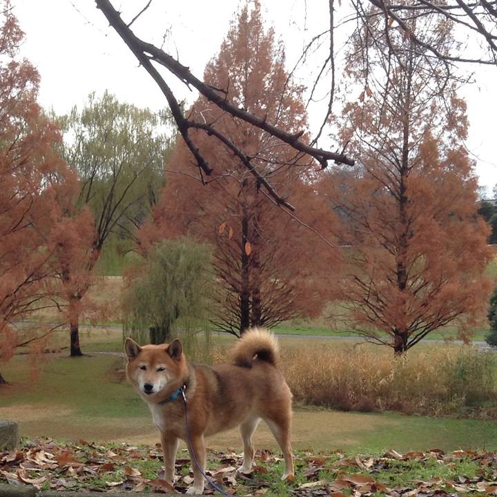 Ac49dfb4 5d86 49df 866a 9e571acebef9 1544596770919