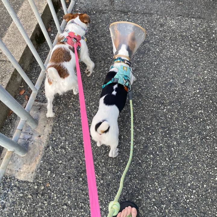 Ac49f7d8 5151 47a5 ba7f 70940e535b6c 1751248188779