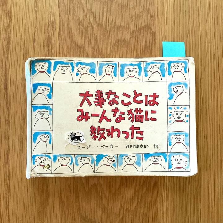 Ac49f884 a261 42f7 bcc1 4ce6b8d044ca 1723066179077