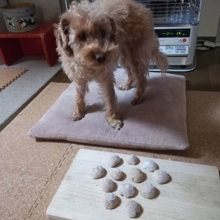 Ac4a01e8 0bd8 45ae 9f6e e91e127fc940 1545601163018