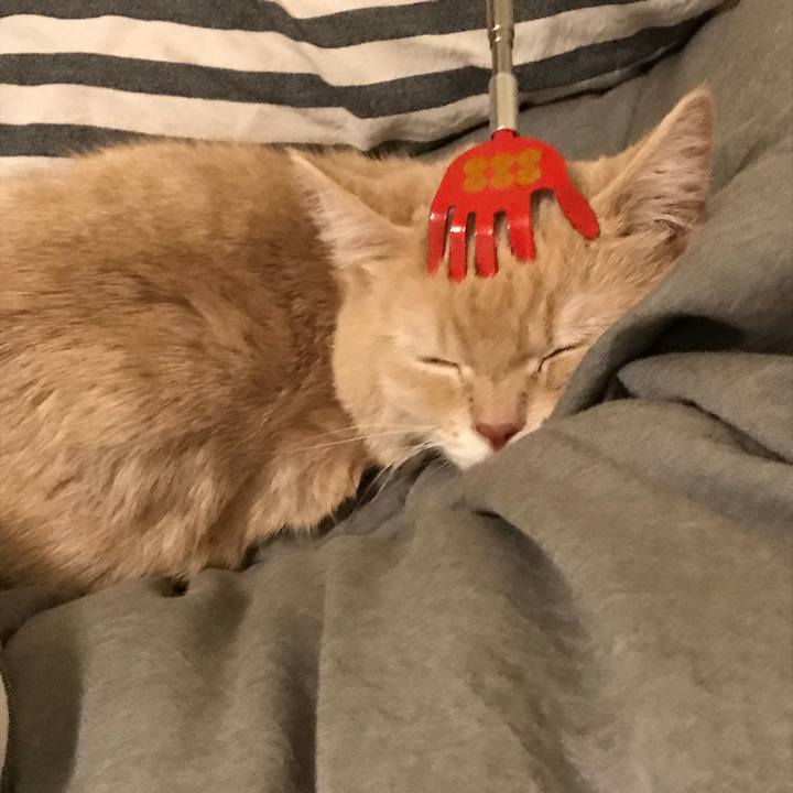 Ac4a0ff6 d4ce 44c4 a07c fa1cf10c7692 1520122239193