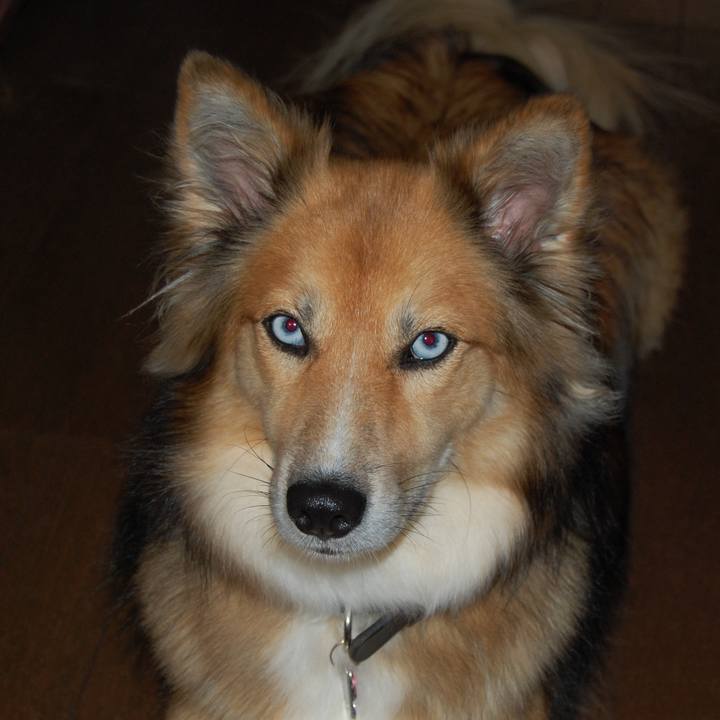 Ac4a4458 79c6 4d96 ab22 5ac73b11c7ff 1513522892861