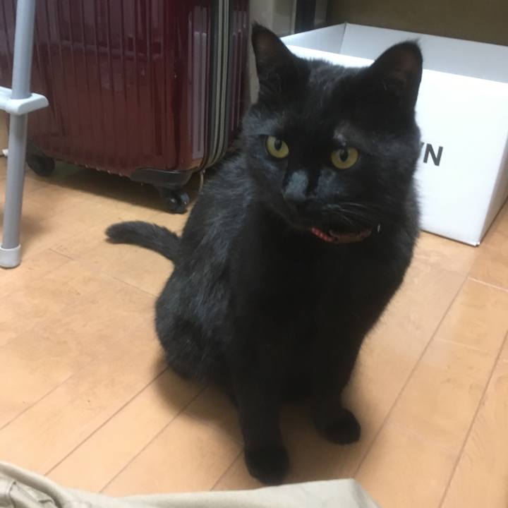 Ac4a4b88 4728 4910 89fa 663a880f0e34 1524378716336