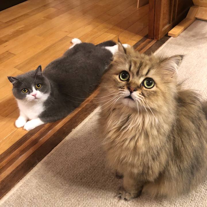 Ac4a6e2c dae8 4435 b95e 09065780853a 1624534618016